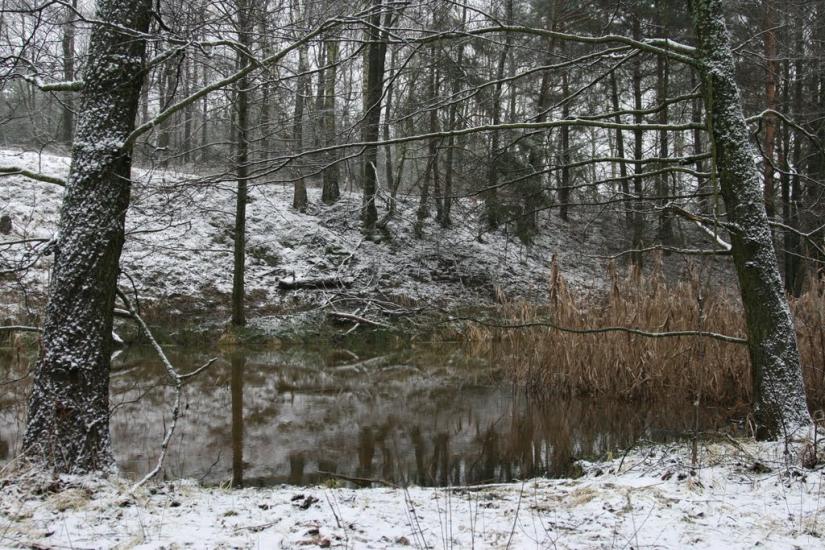 Лошакова Гута з panoramio.com - Лошакова Гута