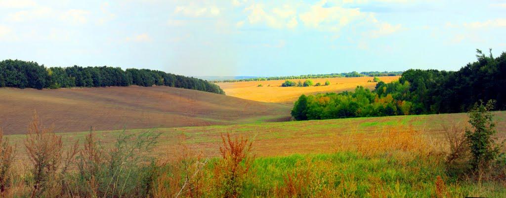 Устя з panoramio.com - Устя