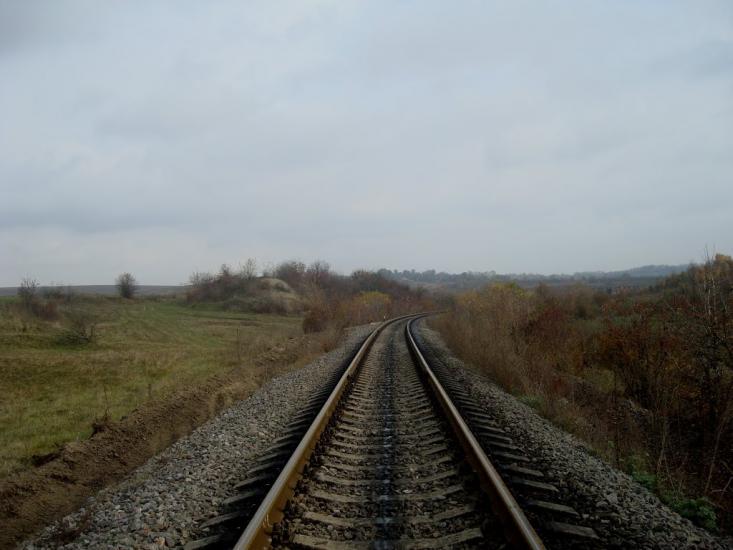 Вільхівчик з panoramio.com - Ольховчик