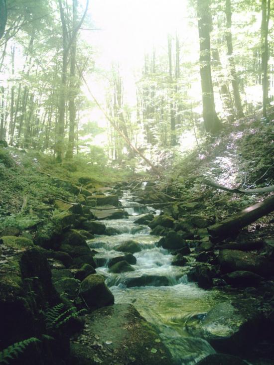 Яблунівка з panoramio.com - Яблоновка