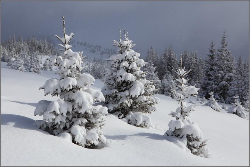 Кривопілля з panoramio.com - Kryvopillya