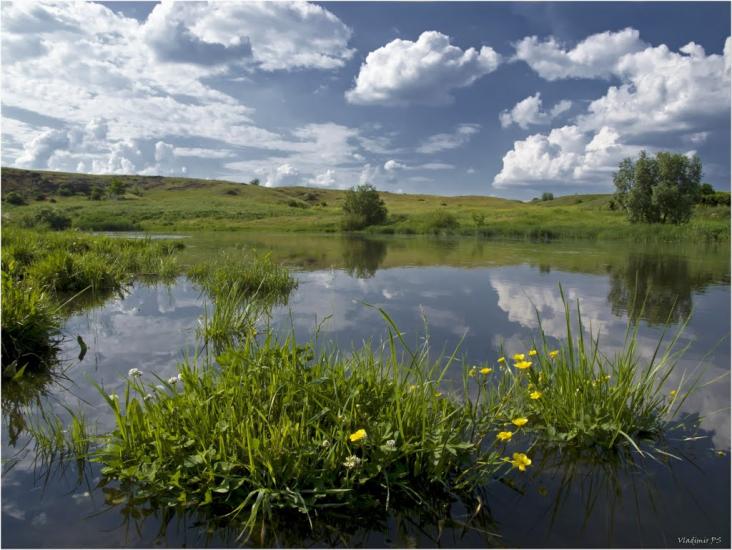Недайвода з panoramio.com - Недайвода