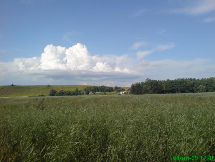 Рогізна з panoramio.com - Рогозна