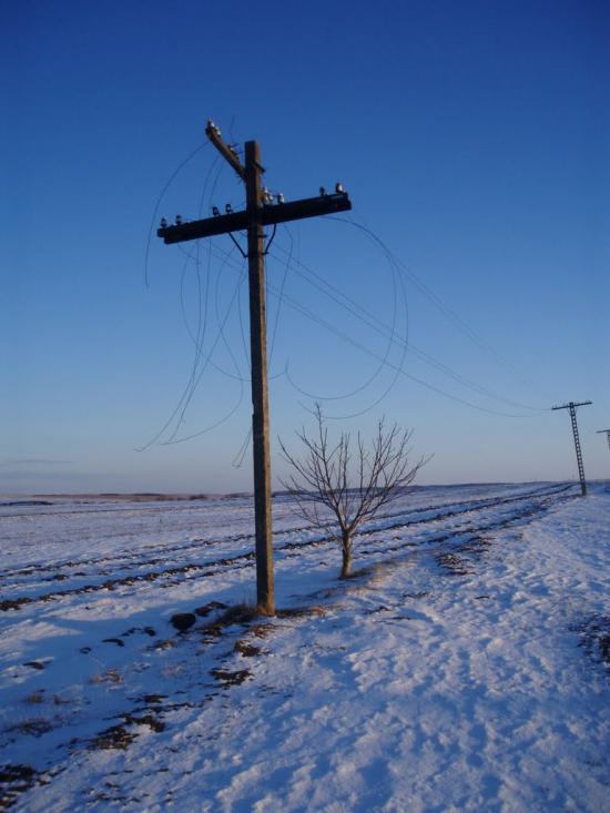 Рогізне з panoramio.com - Рогозное