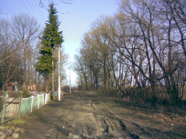 Раціборівка з panoramio.com - Рациборовка