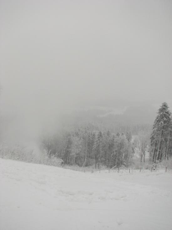 Мигове з panoramio.com - Мигове