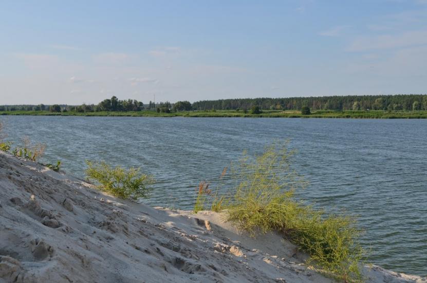 Дерев'яна з panoramio.com - Дерев'яна