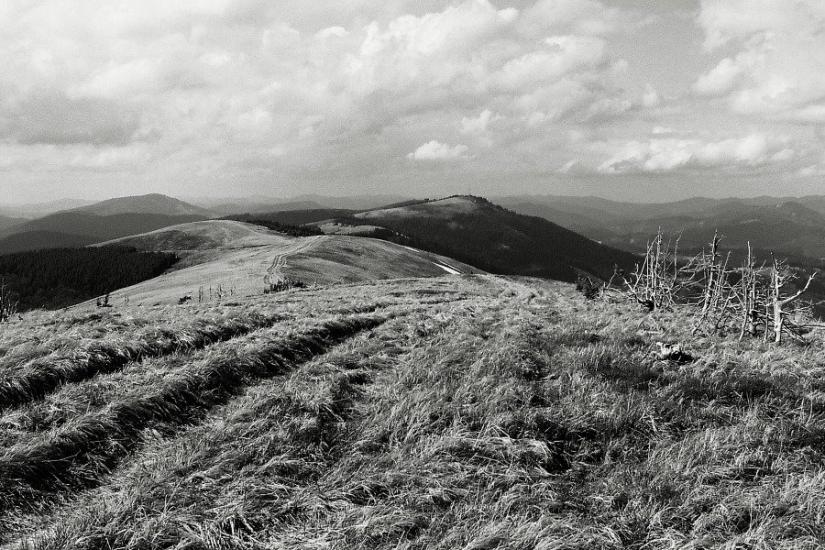 Верхня Рожанка з panoramio.com - Верхняя Рожанка