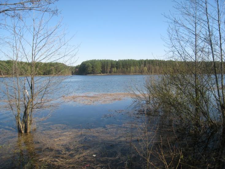 Линея з panoramio.com - Линея