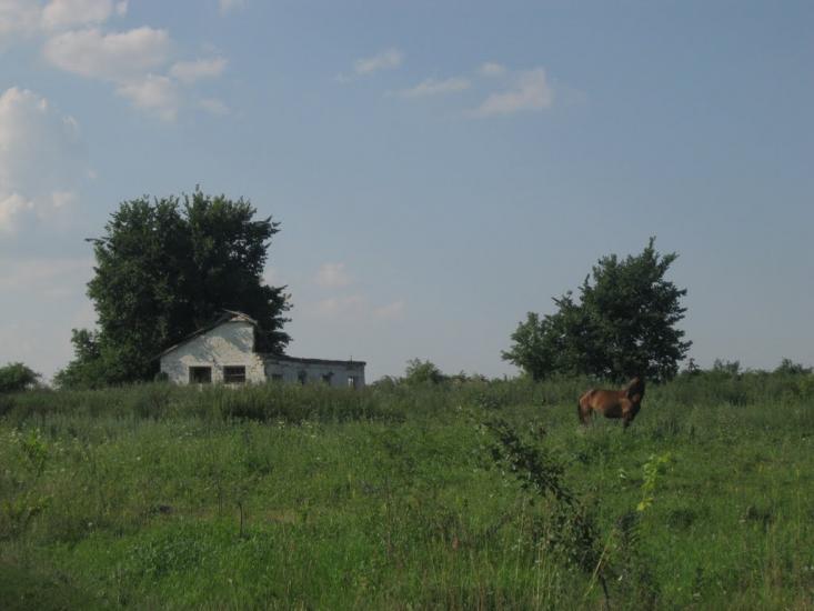 Воробіївка з panoramio.com - Воробіївка