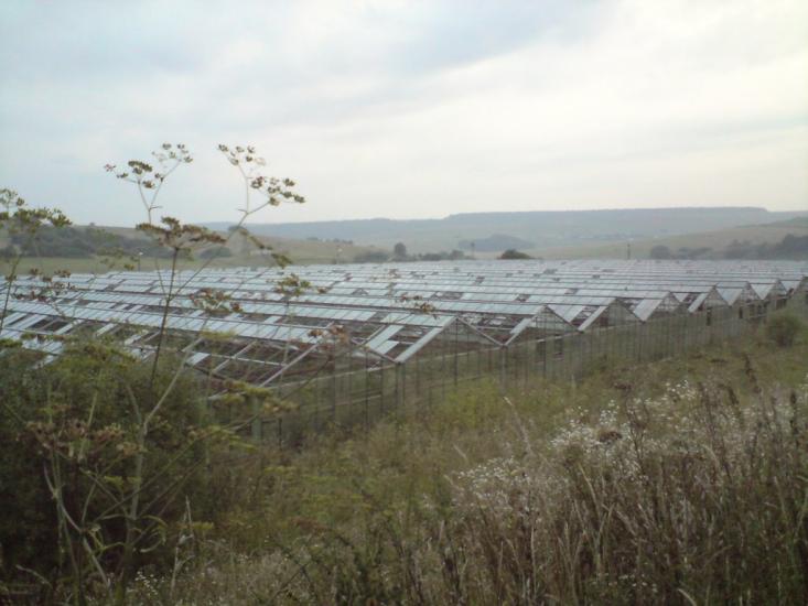 Павлів з panoramio.com - Павлов