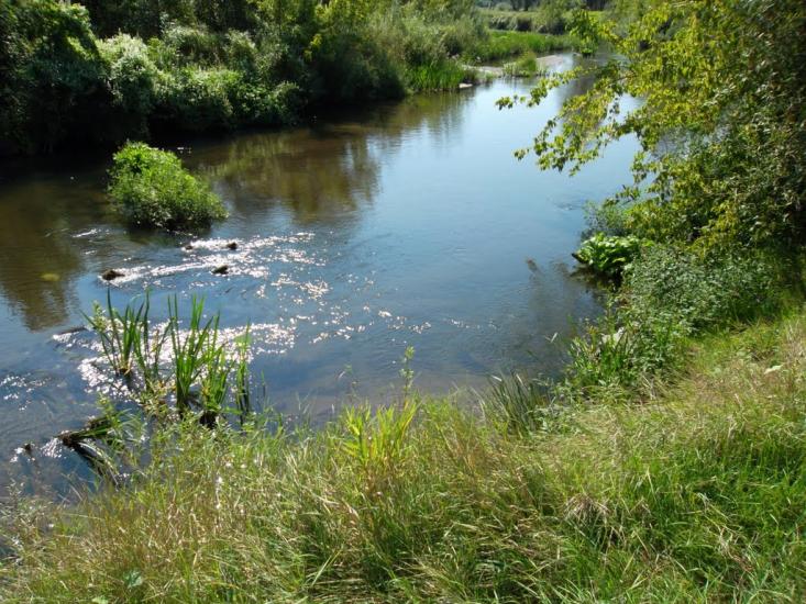 Ялцівка з panoramio.com - Ялцовка