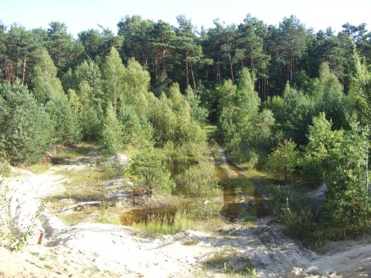 Турійськ з panoramio.com - Турийск