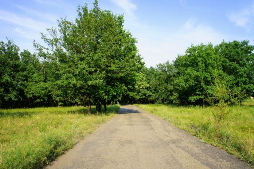 Юнокомунарівськ з panoramio.com - Юнокомунаровск