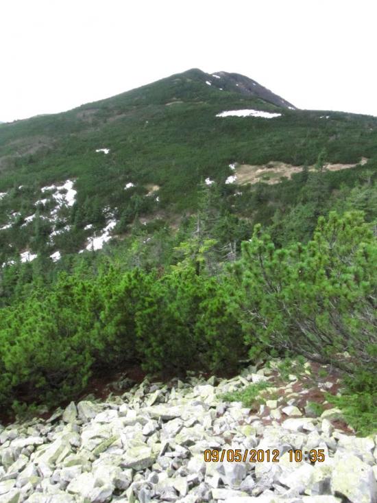 Мислівка з panoramio.com - Мысливка