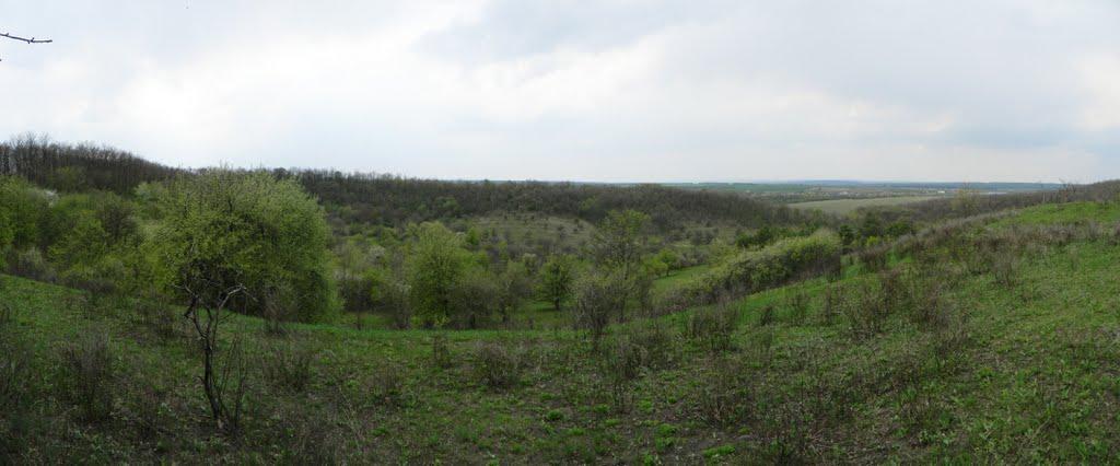 Івангород з panoramio.com - Ивангород