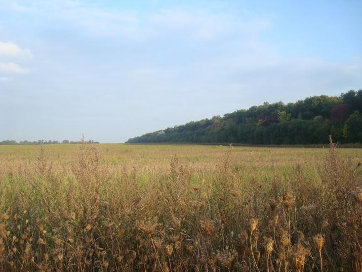 Колом'є з panoramio.com - Колом'є