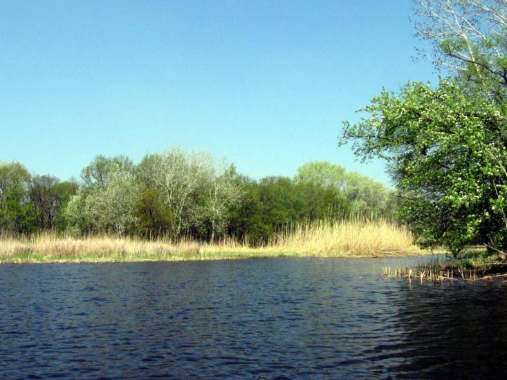 Дзержинське з panoramio.com - Дзержинское