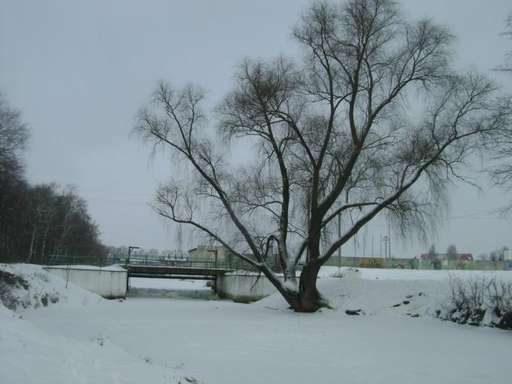 Березань з panoramio.com - Berezan