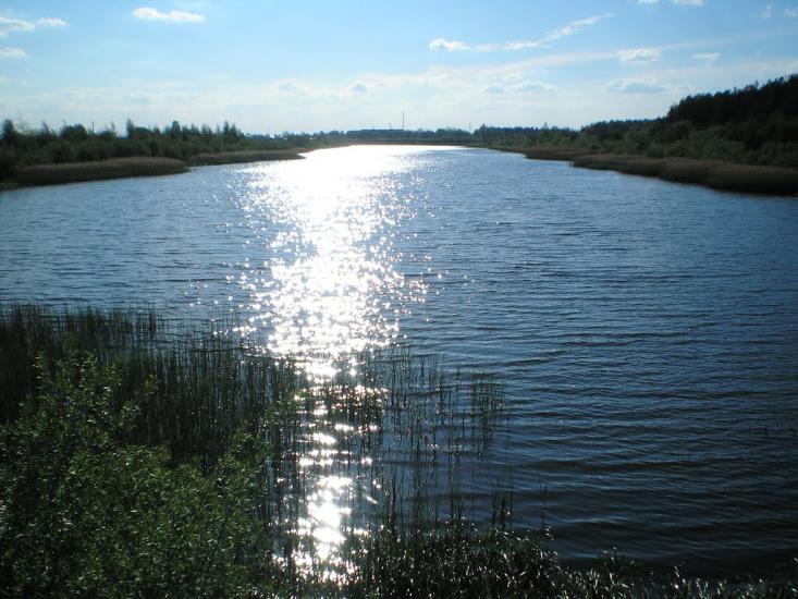 Сарни з panoramio.com - Сарни