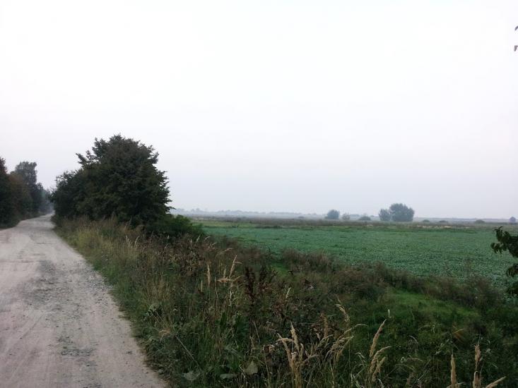 Кривичі з panoramio.com - Кривичи