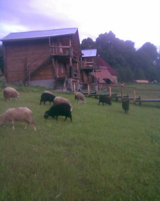 Руський Мочар з panoramio.com - Русский Мочар