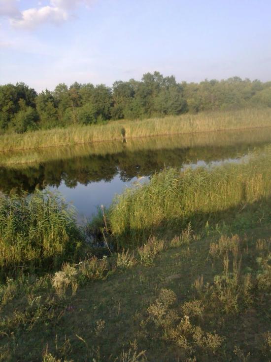 Валове з panoramio.com - Софіївка