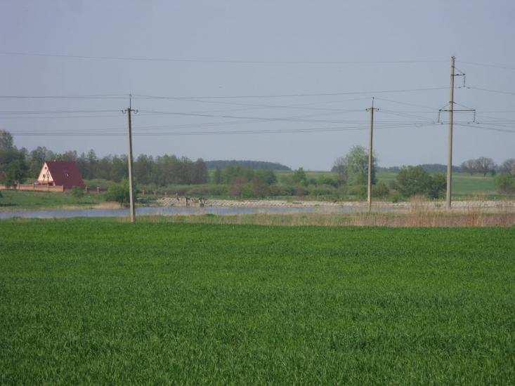 Буяни з panoramio.com - Буяни
