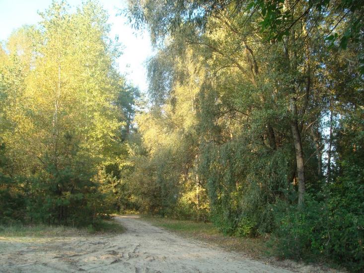 Підлиман з panoramio.com - Подлиман