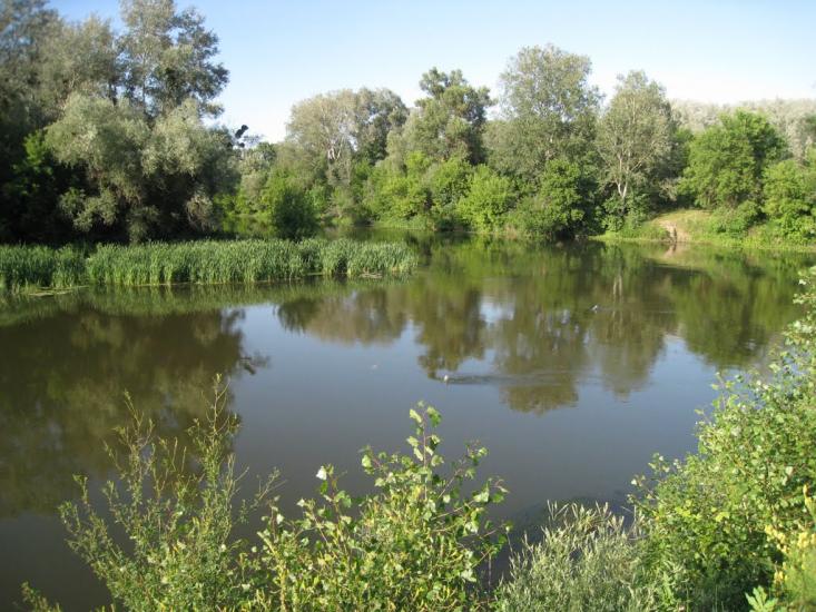 Синичине з panoramio.com - Synychyne
