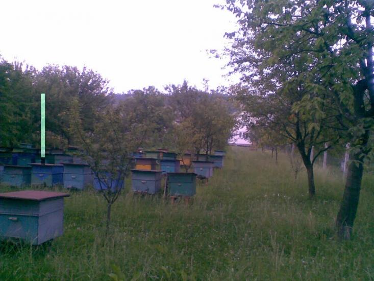 Нижня Апша з panoramio.com - Нижняя Апша