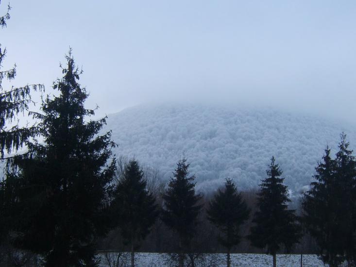 Тячів з panoramio.com - Тячев