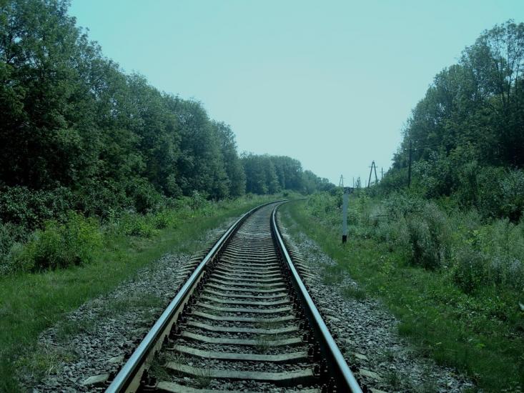Тарасівка з panoramio.com - Тарасовка