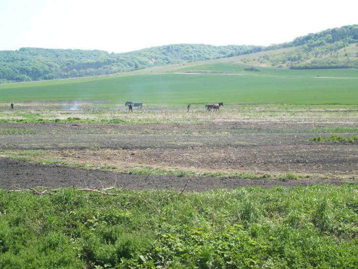 Підлисся з panoramio.com - Підлисся