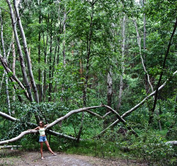 Гороховатка з panoramio.com - Гороховатка