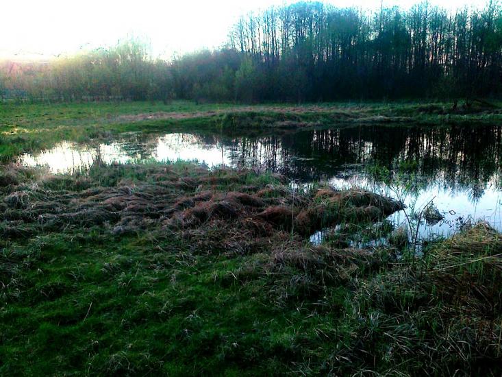 Радивилів з panoramio.com - Радивилов