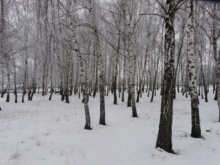 Ічня з panoramio.com - Ichnya