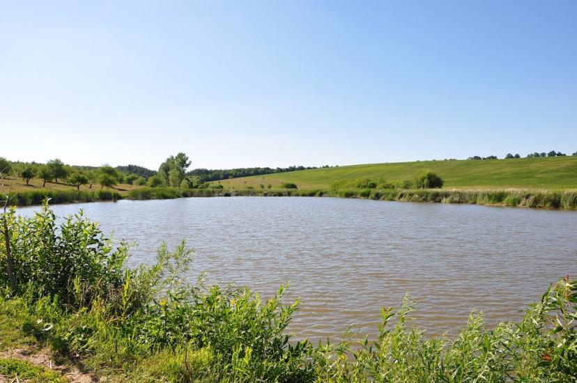 Шарапанівка з panoramio.com - Шарапанівка