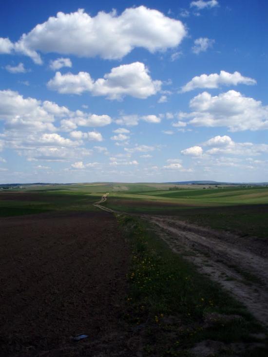 Демидівка з panoramio.com - Демидівка