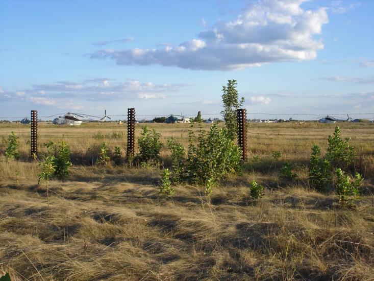 Чорнобаївка з panoramio.com - Чернобаевка