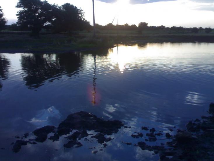 Ленінське Перше з panoramio.com - Ленінське Перше