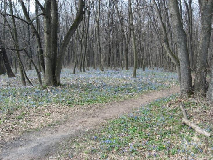 Старий Мерчик з panoramio.com - Старий Мерчик