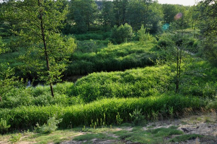 Рудня-Шпилівська з panoramio.com - Рудня-Шпилевская