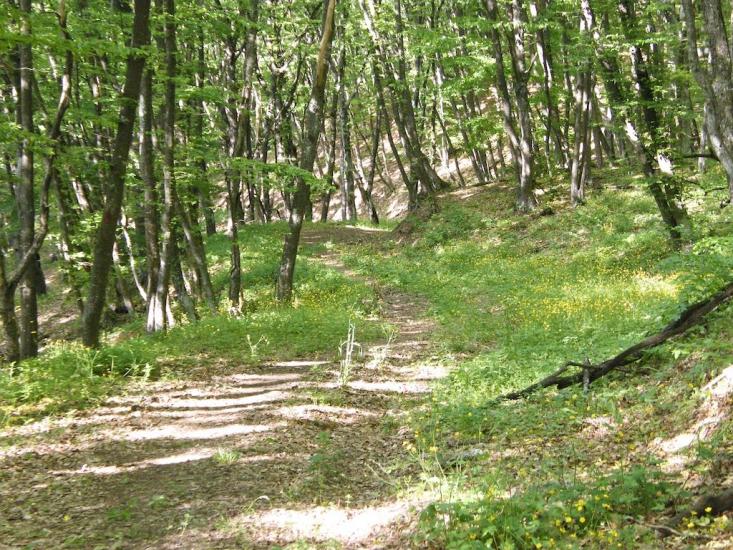 Земляничне з panoramio.com - Zemlyanychne