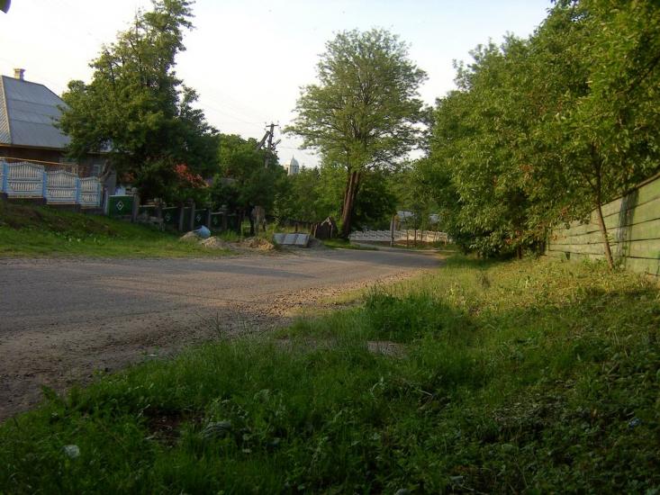 Несвоя з panoramio.com - Nesvoya