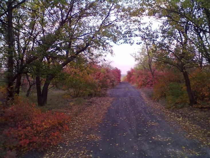 Пискунівка з panoramio.com - Pyskunivka