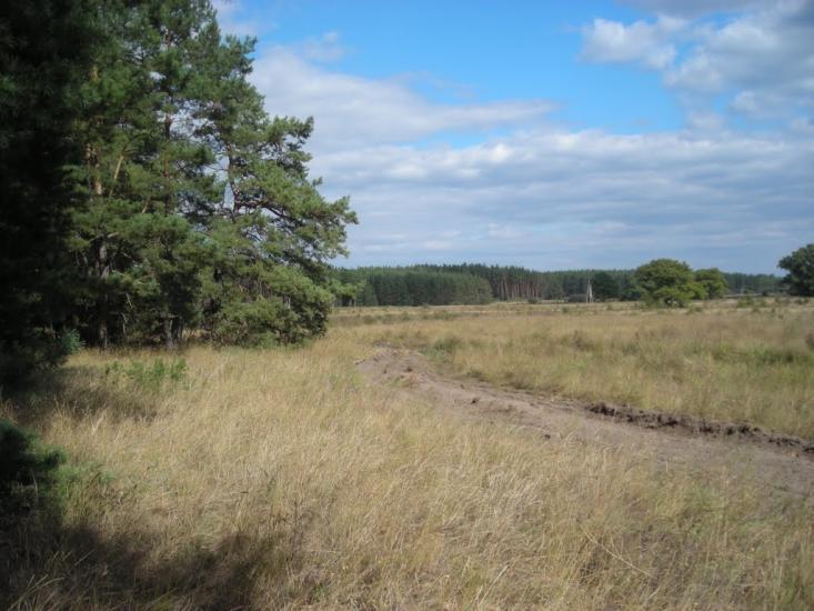 Букине з panoramio.com - Bukyne