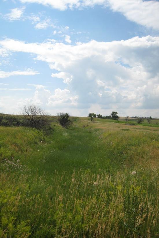 Шимшинівка з panoramio.com - Шимшиновка