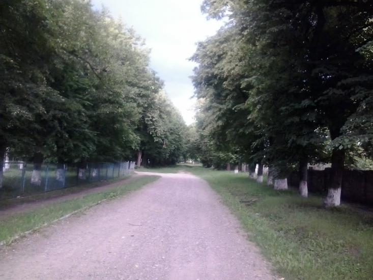 Сокиряни з panoramio.com - Сокиряни