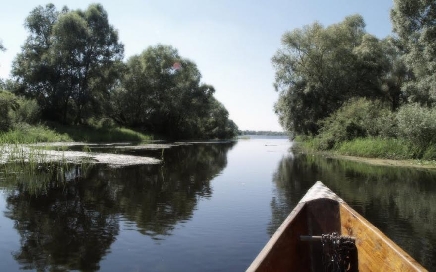 Хрещатик з panoramio.com - Крещатик